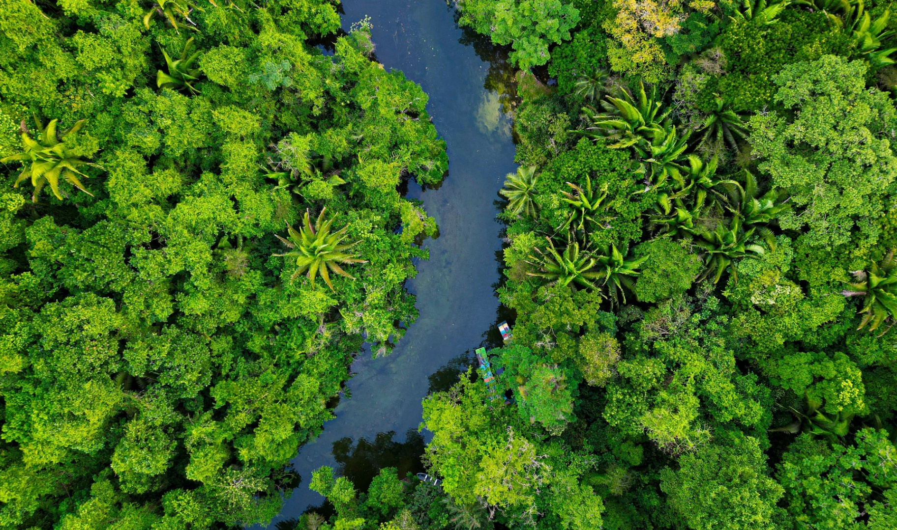 Vue aérienne d'un fleuve serpentant dans la forêt amazonienne colombienne